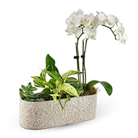 For The Home Image